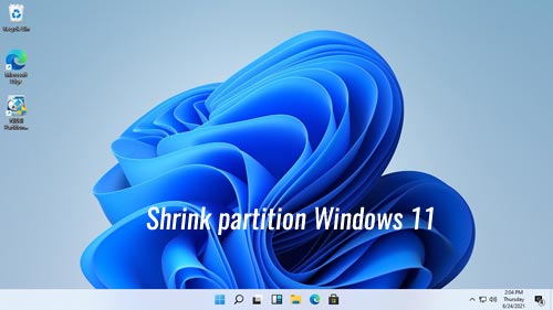 Shrink Partition